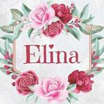 Elina Profile Picture
