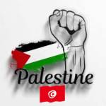 Palestine Profile Picture