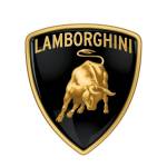 Lamborghini Profile Picture